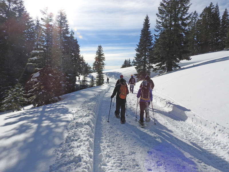n_X2019-01-14 1038 You didn't really need snow shoes.jpg